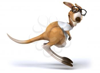 Fun kangaroo