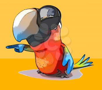 Fun parrot