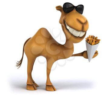 Fun camel