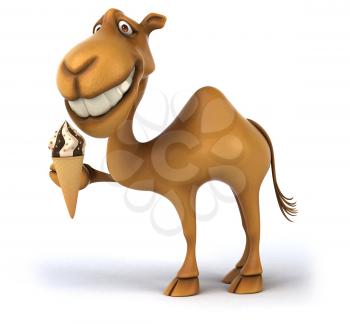 Fun camel