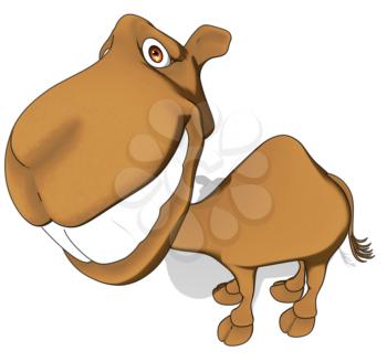 Fun camel