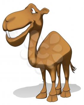 Fun camel