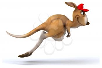 Fun kangaroo