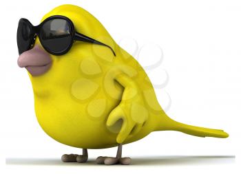 Yellow bird