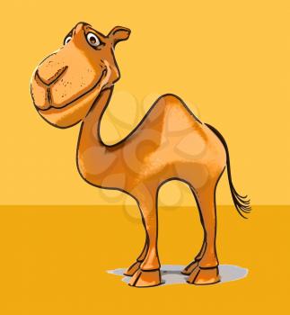 Fun camel