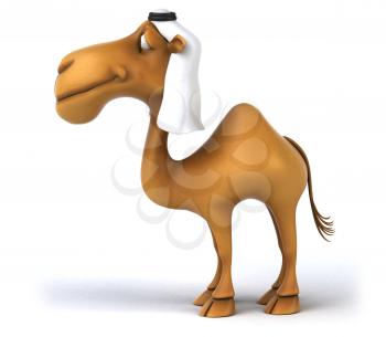 Fun camel