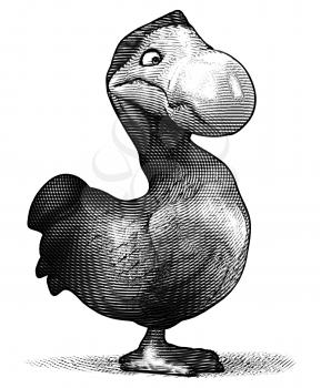 Dodo