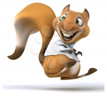 Fun squirrel