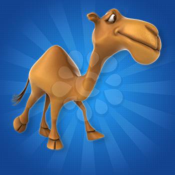 Fun camel