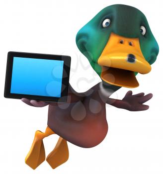 Duck