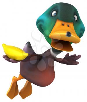 Fun duck