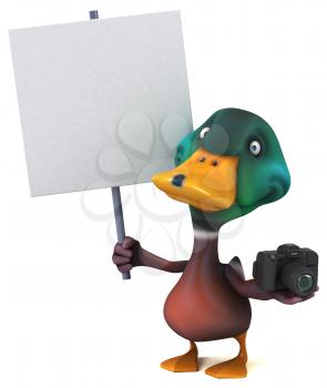 Duck