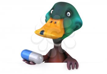 Duck