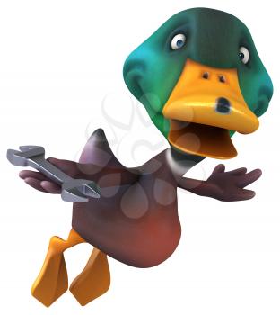 Duck