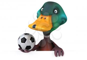 Fun duck