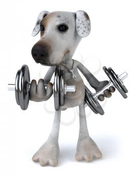 Royalty Free Clipart Image of a Jack Russell Terrier Lifting Weights