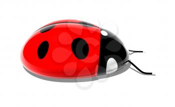 Royalty Free 3d Clipart Image of a Ladybug Computer Mouse