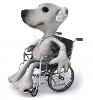 Royalty Free Clipart Image of a Jack Russell in a Wheelchair