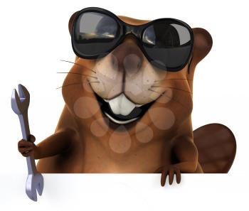 Fun beaver