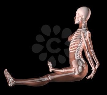 3D render of a female medical skeleton in a yoga position