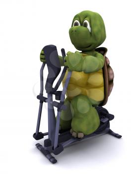 3d render of a tortoiserunning on a cross trainer