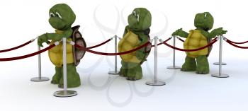 3D render of tortoises waiting in line