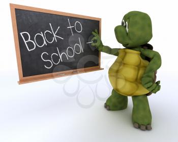 3D render of a tortoise with school chalk board