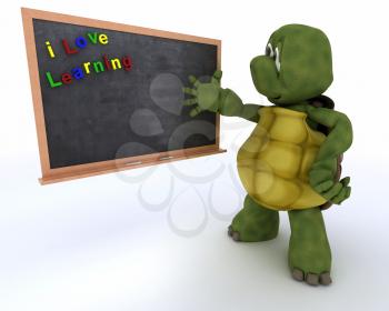 3D render of a tortoise with school chalk board