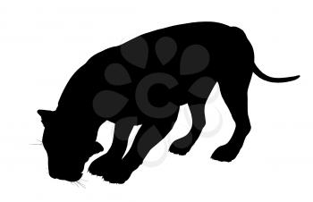 Royalty Free Clipart Image of a Black Panther