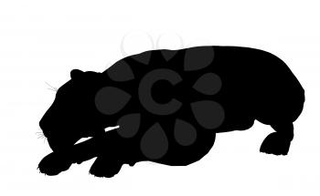 Royalty Free Clipart Image of a Black Panther