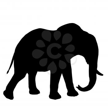 Royalty Free Clipart Image of an Elephant