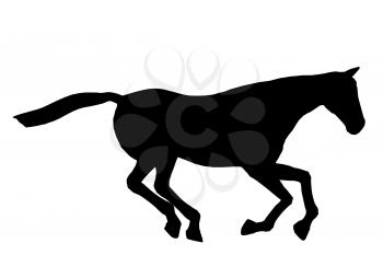 Royalty Free Clipart Image of a Black Horse