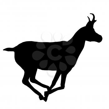 Royalty Free Clipart Image of a Deer