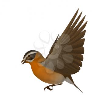 Royalty Free Clipart Image of a Bird