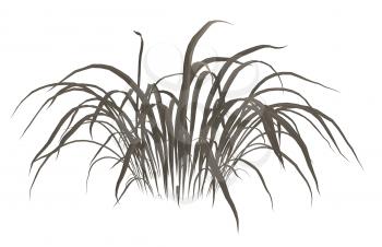 Royalty Free Clipart Image of a Clump of Grass