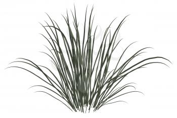 Royalty Free Clipart Image of a Clump of Dead Grass