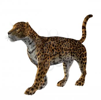 Royalty Free Clipart Image of a Cheetah