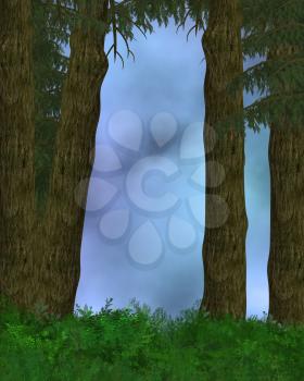 Royalty Free Clipart Image of a Forest