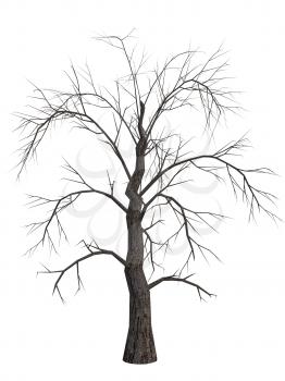 Royalty Free Clipart Image of a Dead Tree