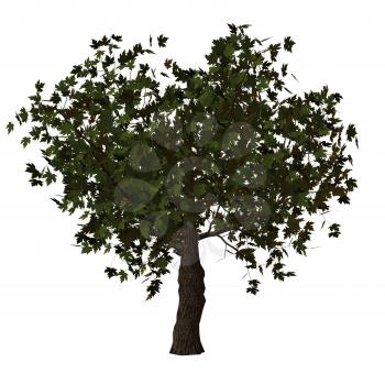 Royalty Free Clipart Image of a Big Tree