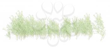 Royalty Free Clipart Image of Grass