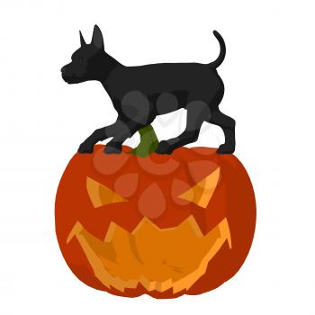 Royalty Free Clipart Image of a Black Dog on a Carved Pumpkin