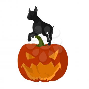 Royalty Free Clipart Image of a Black Dog on a Carved Pumpkin