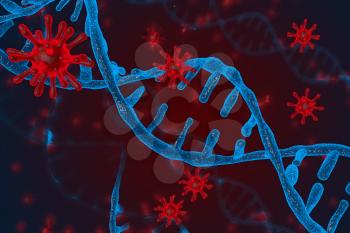 3D illustration of DNA and coronavirus disease infection COVID-2019 in microscope. Concept of virus integrates into the human cellular mechanism.