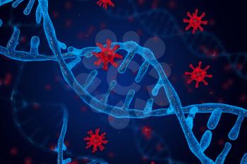 3D illustration of DNA and coronavirus disease infection COVID-2019 in microscope. Concept of virus integrates into the human cellular mechanism.