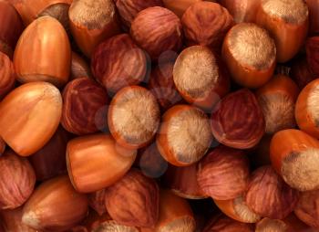 Royalty Free Clipart Image of a Hazelnut Background 