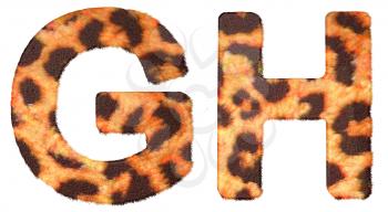 Royalty Free Clipart Image of Leopard Print G and H