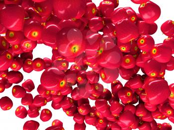 Healthy fruits: red ripe apples isolated on white