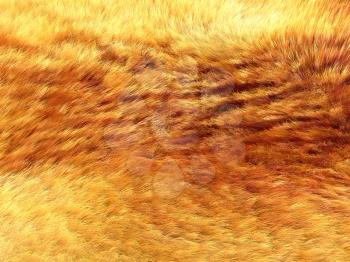 Fox fur: Yellow and brown pattern or background. Useful for fashion