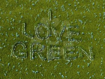 I love green flower words on the meadow. High resolution
